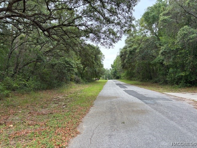8949 N Cortlandt Drive, Citrus Springs, Florida image 10