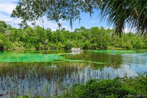 A home in Dunnellon