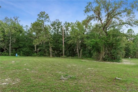 A home in Dunnellon