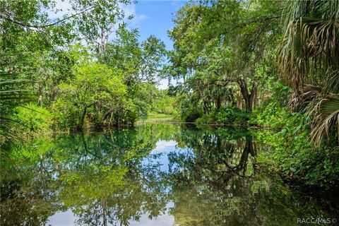 A home in Dunnellon