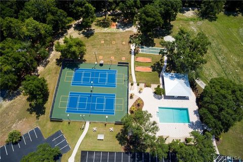 A home in Dunnellon