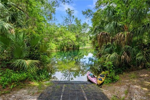 A home in Dunnellon