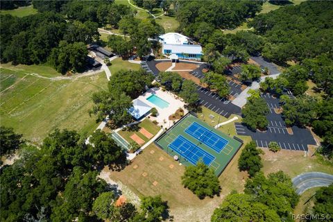 A home in Dunnellon