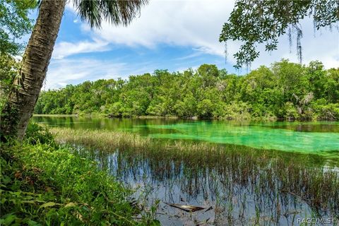 A home in Dunnellon