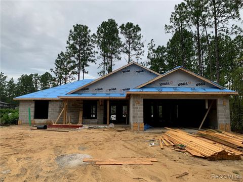 A home in Citrus Springs