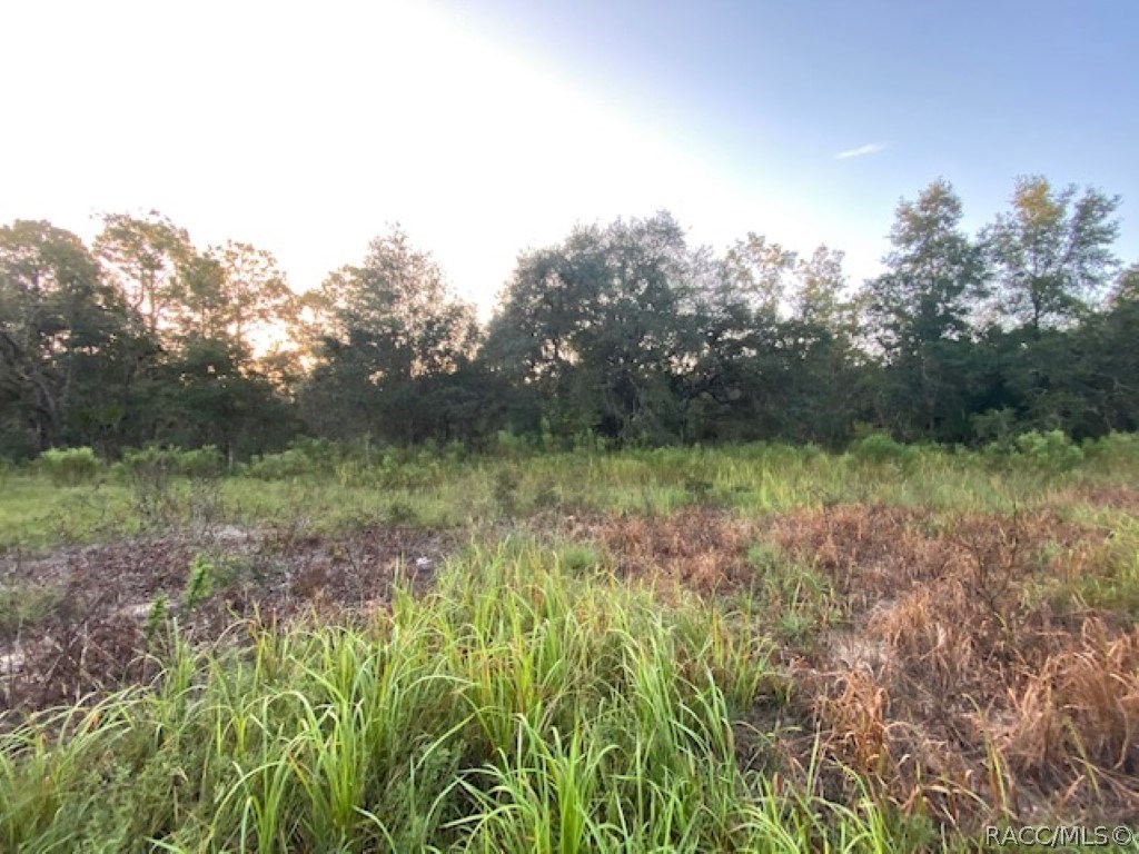 6075 N Lecanto Highway