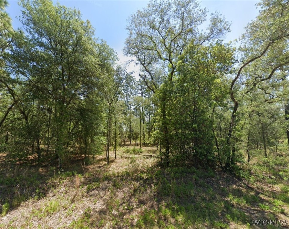 1831 NW Buena Vista Road, Dunnellon, Florida image 1