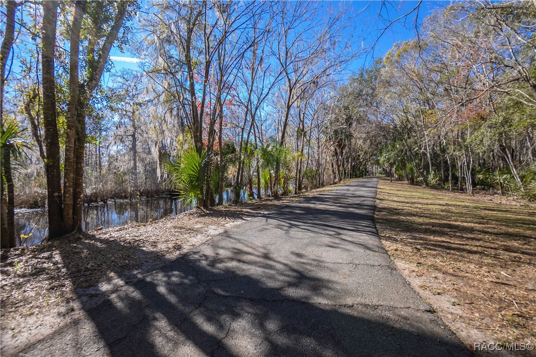 4925 Cr 309b, Lake Panasoffkee, Florida image 8