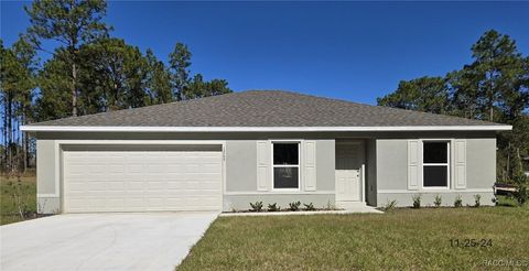 A home in Citrus Springs