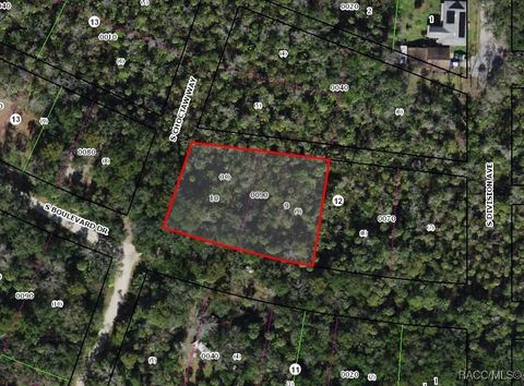 Vacant Land For Sale - 5791 S Boulevard Drive<br/> Homosassa, FL 34448