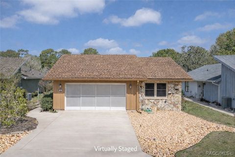 Homes For Sale - 20 Golfview Court<br/> Homosassa, FL 34446