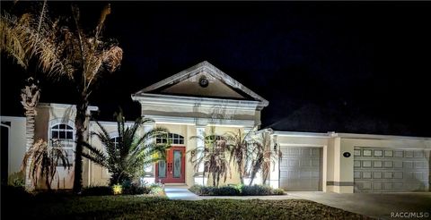 8 Fig Court E Homosassa FL 34446