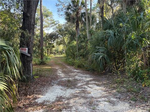 Homes For Sale - 1751 S Palm Avenue<br/> Homosassa, FL 34448