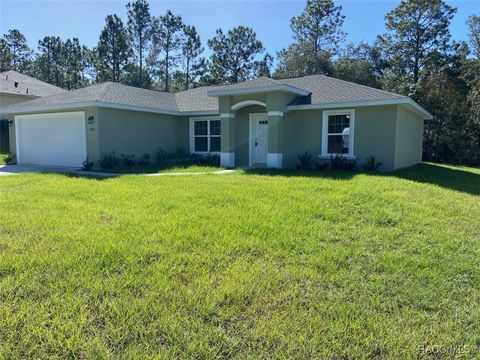 A home in Dunnellon