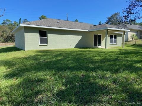 A home in Dunnellon