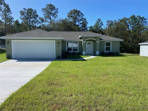 A home in Dunnellon