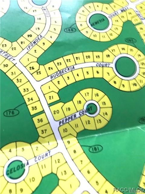 Vacant Land For Sale - 4 Rudbeckia Court<br/> Homosassa, FL 34446