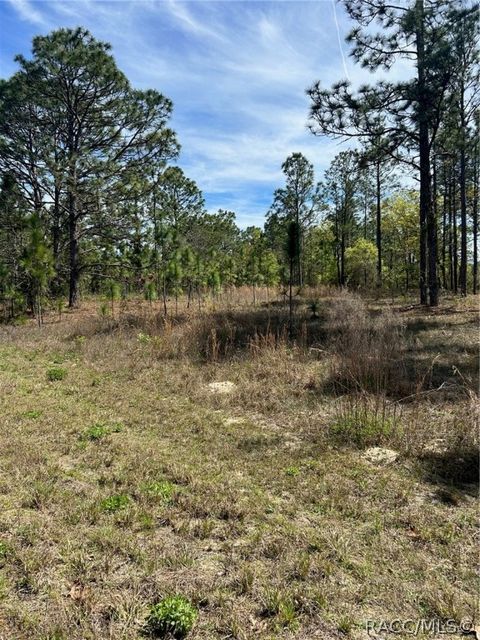 Vacant Land For Sale - 2032 W Corrine Street<br/> Dunnellon, FL 34434