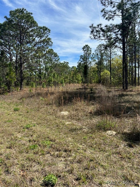 Vacant Land For Sale - 2032 W Corrine Street<br/> Dunnellon, FL 34434