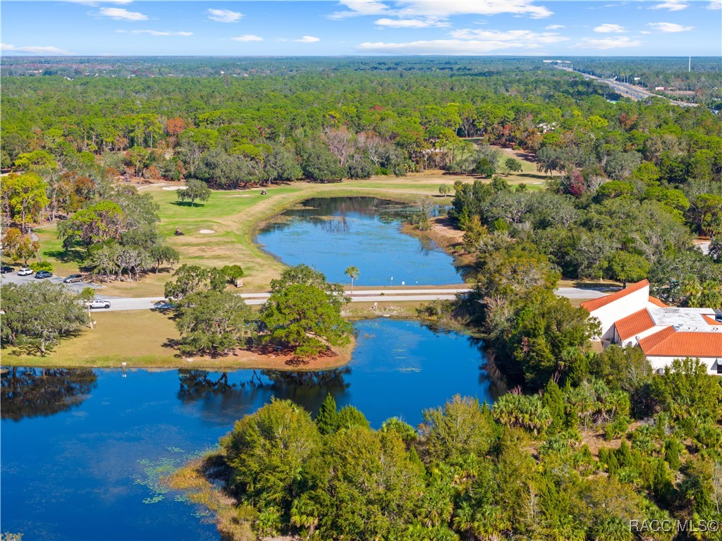 7497 Heather Walk Drive, Weeki Wachee, Florida image 38