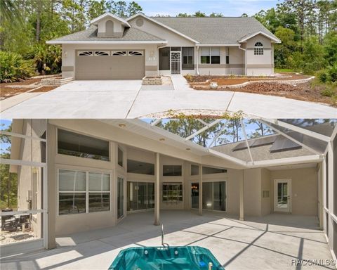 5725 N Durango Terrace Beverly Hills FL 34465