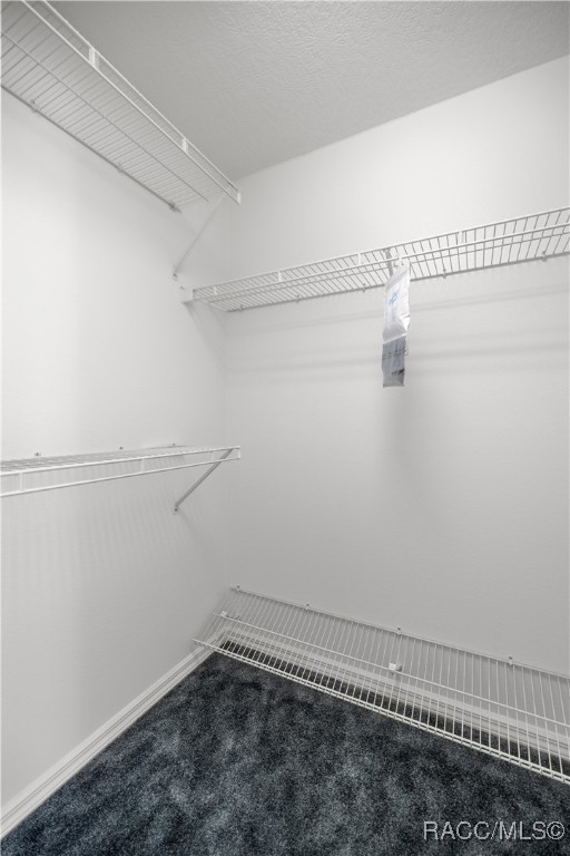 5725 N Durango Terrace, Beverly Hills, New York image 24