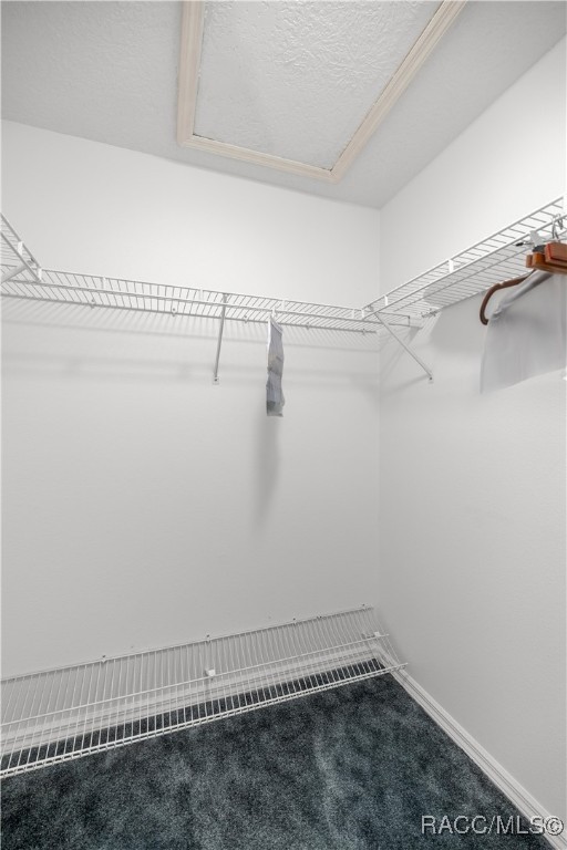 5725 N Durango Terrace, Beverly Hills, New York image 23