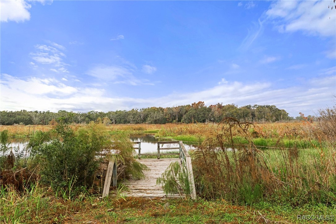 6501 E Lahaven Lane, Inverness, Florida image 42