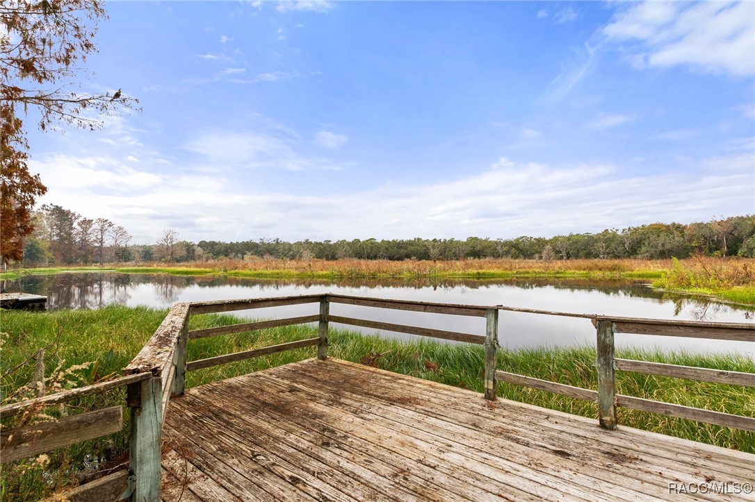 6501 E Lahaven Lane, Inverness, Florida image 43