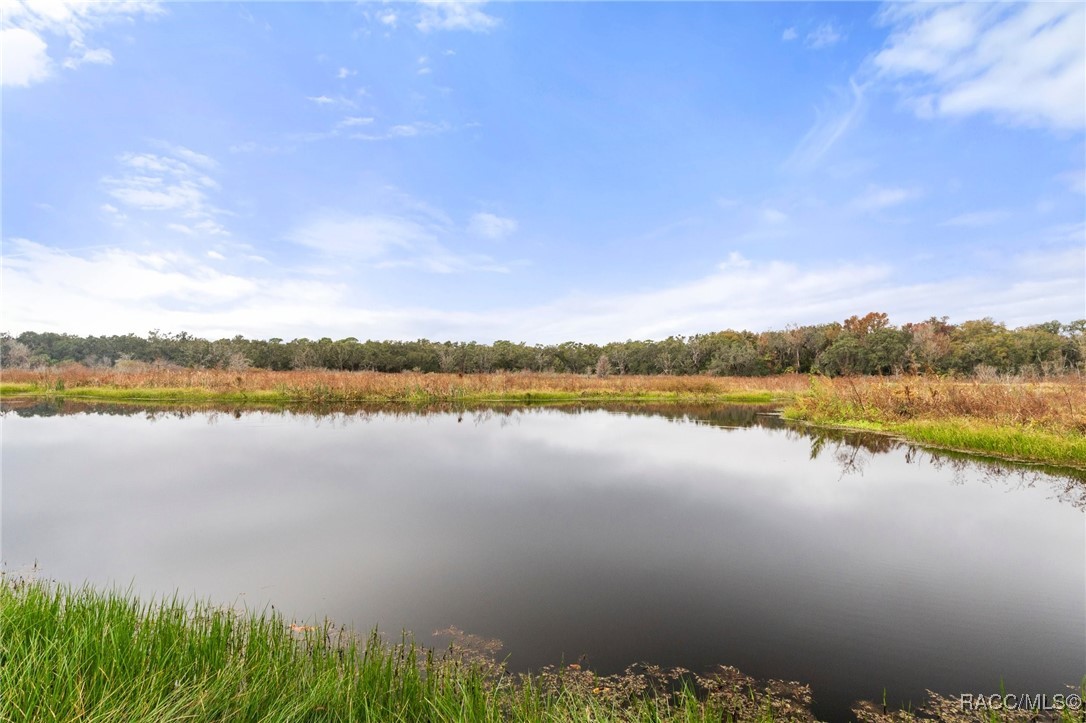 6501 E Lahaven Lane, Inverness, Florida image 45