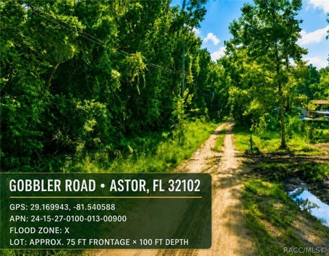 Vacant Land For Sale - Gobbler Road<br/> Lake County, Astor, FL 32102