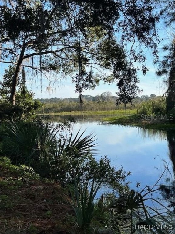 22590 Sw 117th Street, Dunnellon, Florida image 8