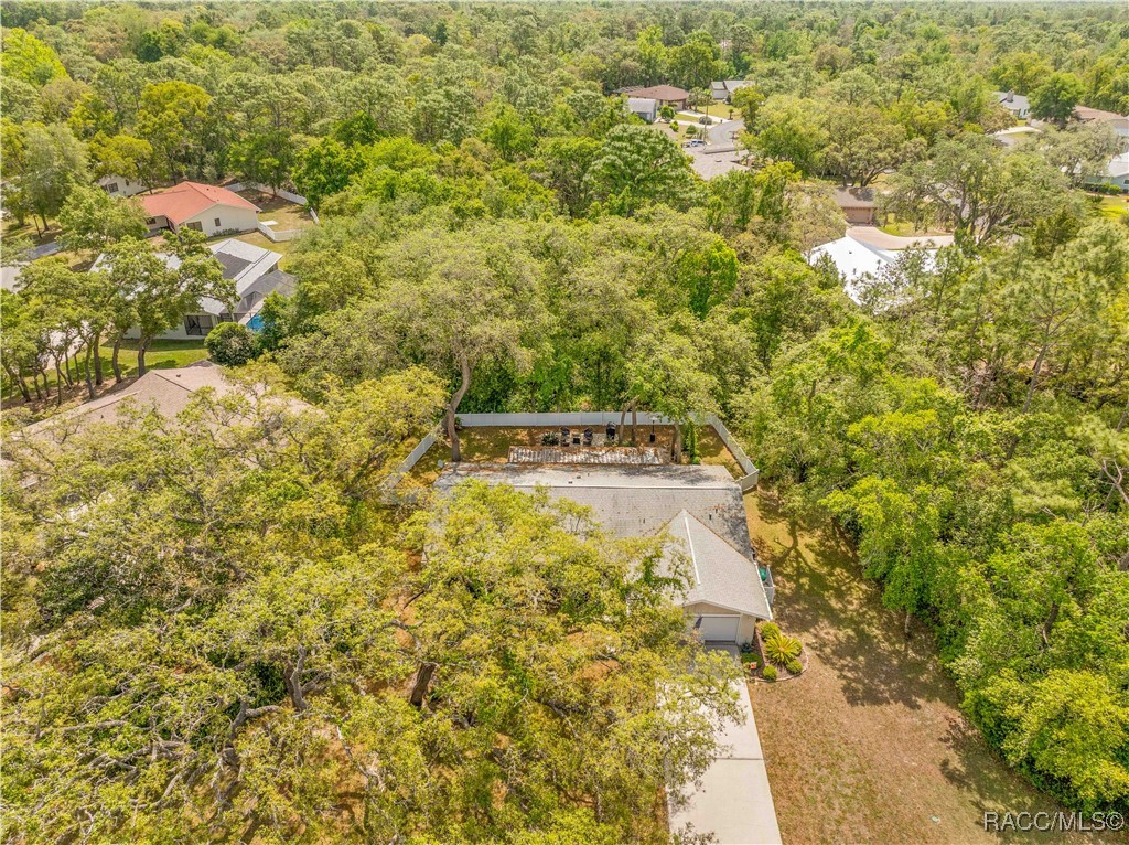5 Shumard Court, Homosassa, Florida image 39