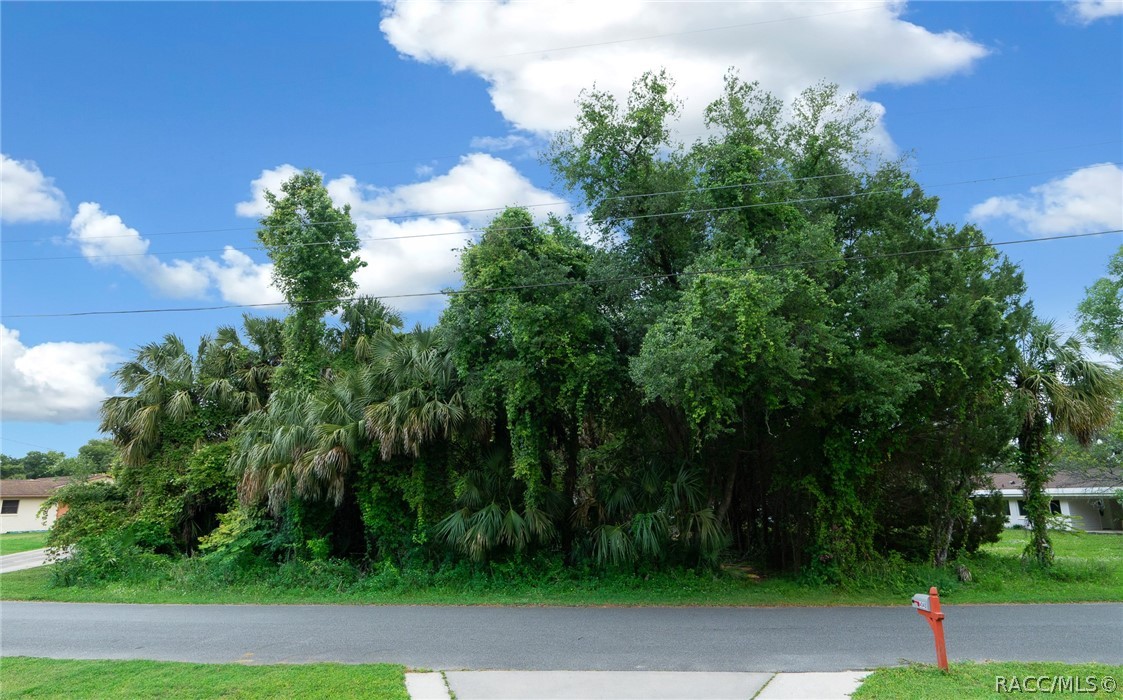 4047 N Little Hawk Point, Crystal River, Florida image 12