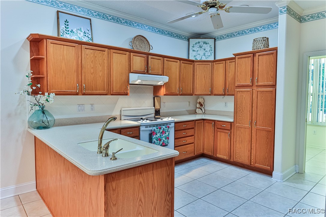 3570 N Indianhead Road, Hernando, Florida image 12