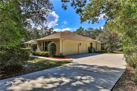 A home in Hernando