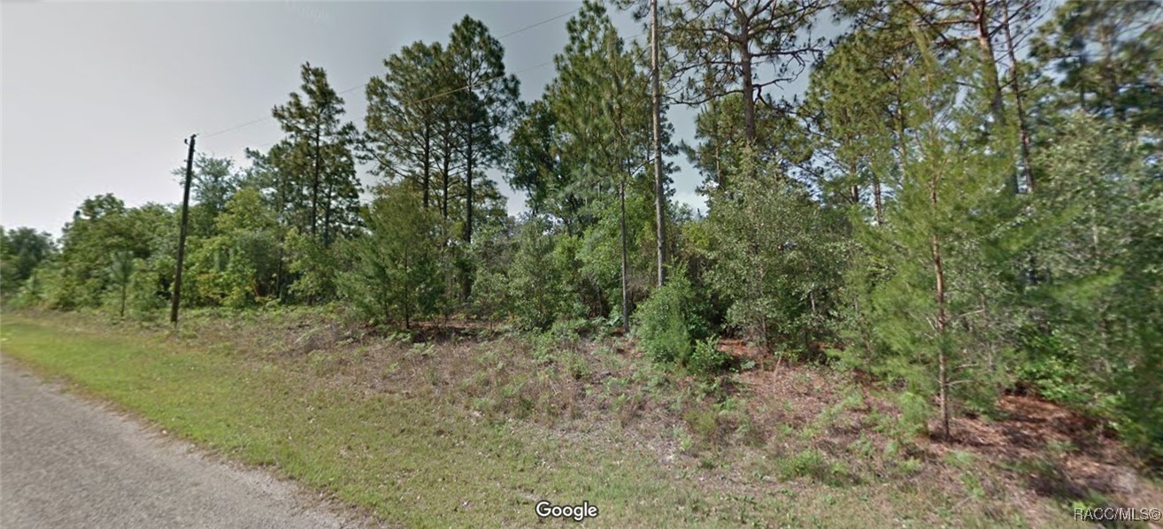 3470 W Marshal Place, Dunnellon, Florida image 1