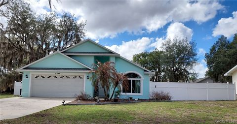 Homes For Sale - 9306 E Gospel Island Road<br/> Inverness, FL 34450