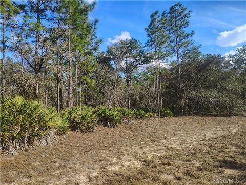 Vacant Land For Sale - 4196 W Horseshoe Drive<br/> Beverly Hills, FL 34465