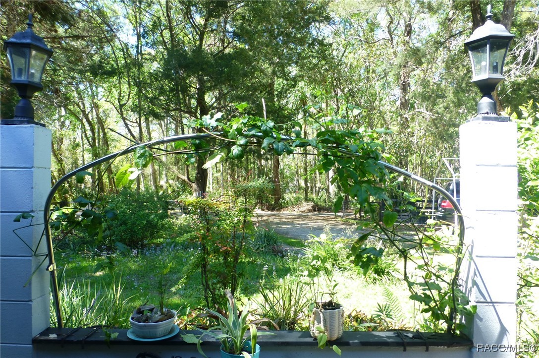 8896 W White Dogwood Drive, Homosassa, Florida image 37