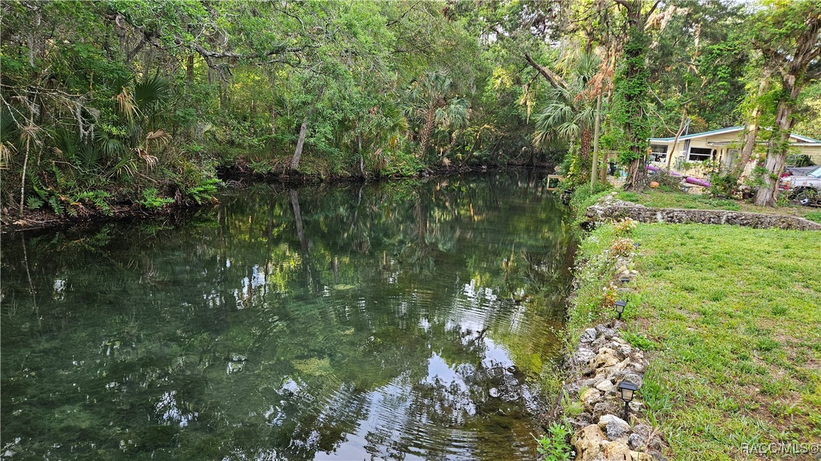 8896 W White Dogwood Drive, Homosassa, Florida image 25