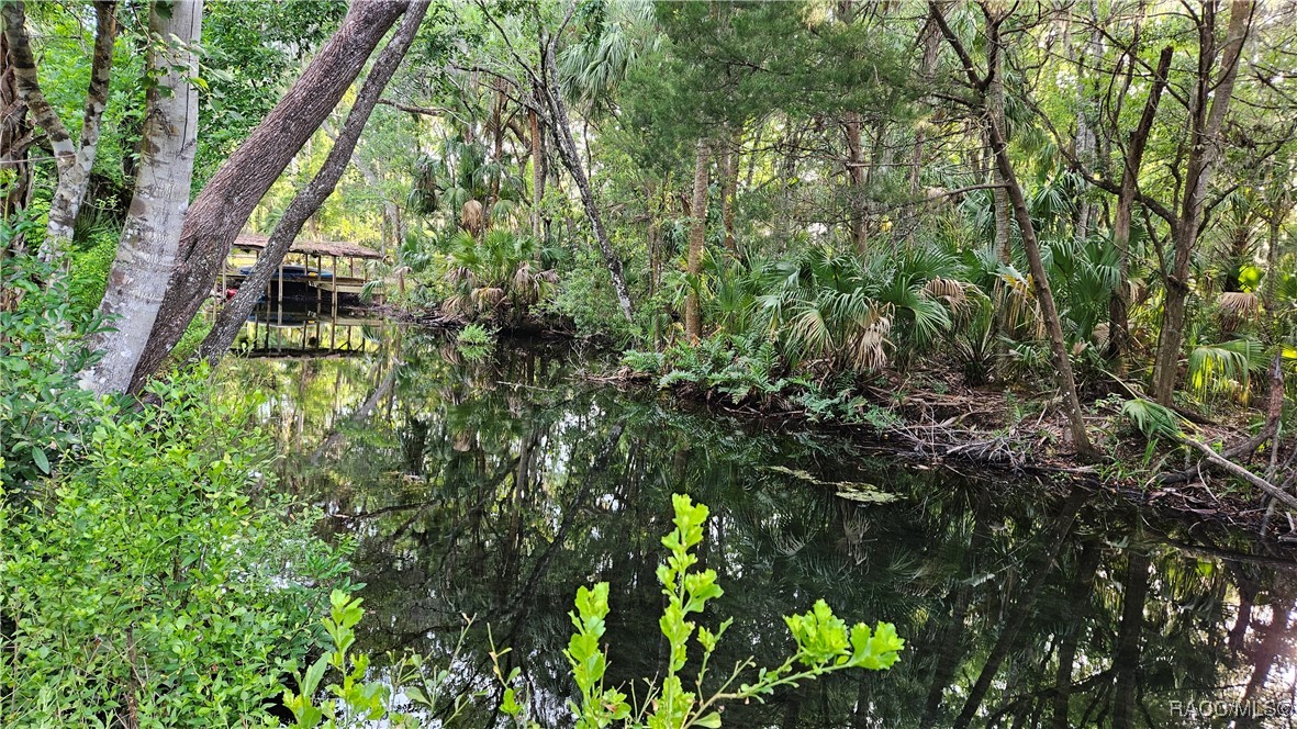 8896 W White Dogwood Drive, Homosassa, Florida image 23