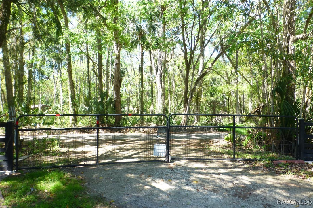 8896 W White Dogwood Drive, Homosassa, Florida image 36