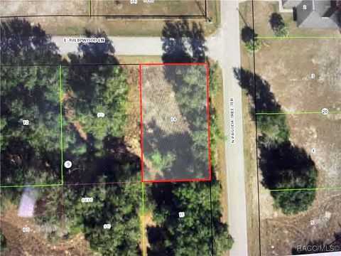 Vacant Land For Sale - 3798 E Tulipwood Lane<br/> Hernando, FL 34442