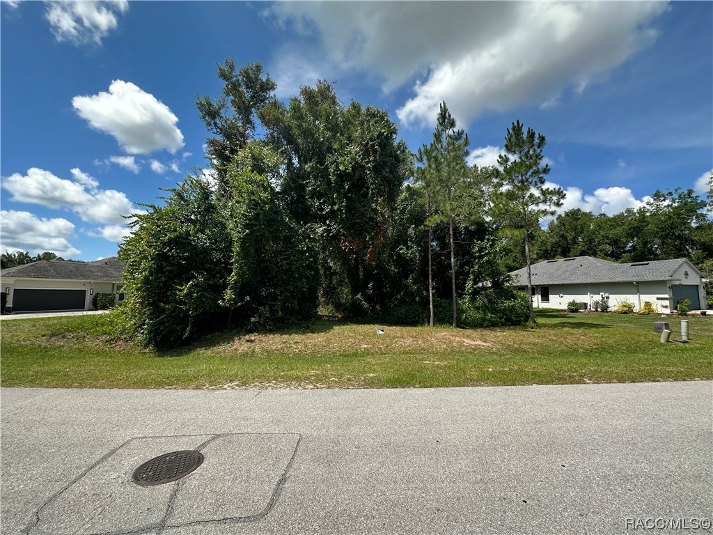 3364 N Chandler Drive, Hernando, Florida image 4