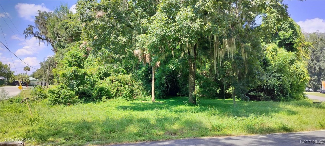 1980 S Tsala Terrace, Inverness, Florida image 18