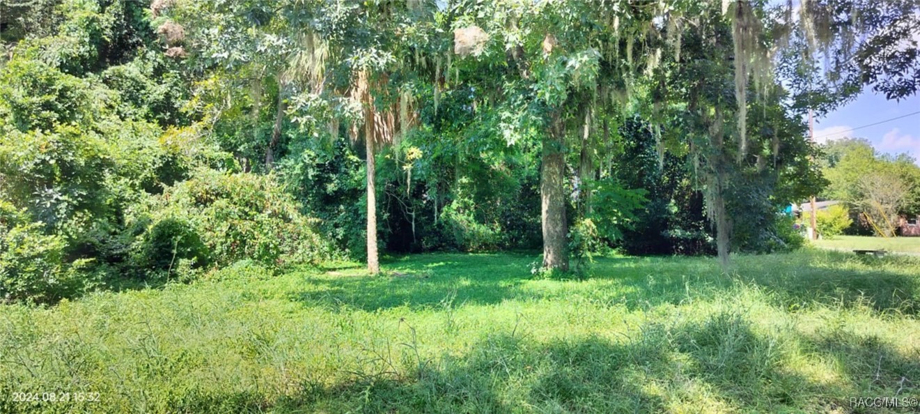 1980 S Tsala Terrace, Inverness, Florida image 1