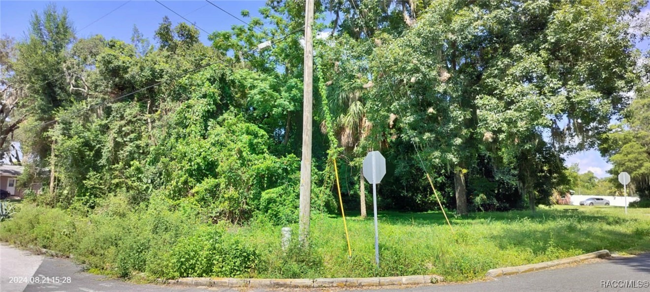 1980 S Tsala Terrace, Inverness, Florida image 17