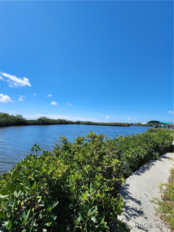 1625 S Wallace Point, Crystal River, New York image 2