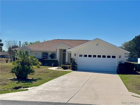 Homes For Sale - 4588 E Van Ness Road<br/> Hernando, FL 34442